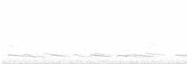 racek stříbřitý (ssp. argentatus/argenteus) - ML617381843