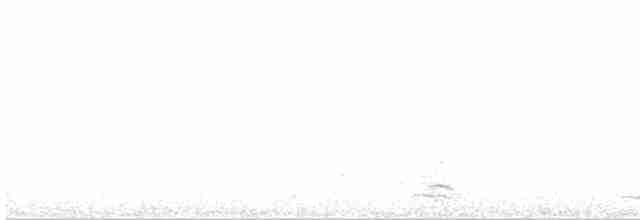 セグロカモメ（argentatus／argenteus） - ML617381863