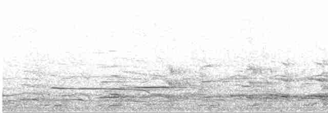 Kuzey Gümüş Martısı (argentatus/argenteus) - ML617382407