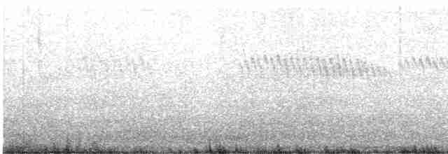 Омелюх звичайний - ML617384711