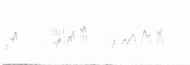 Txoriandre pispoleta mediterraneoa - ML617385195