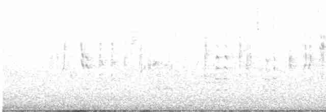 Eastern Subalpine Warbler - ML617385244