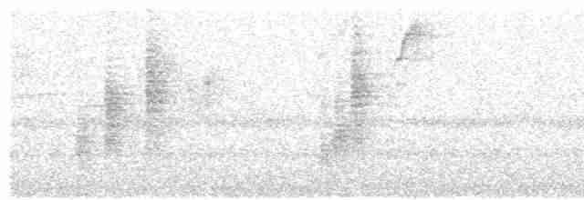 Gri Göğüslü Çıtkuşu - ML617385882