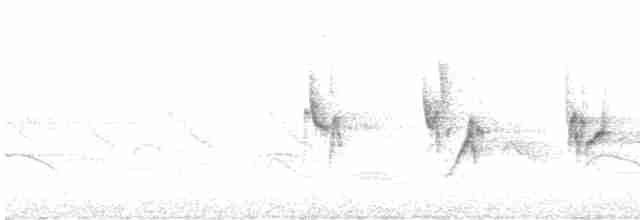 Патагонский овсяночник - ML617385944
