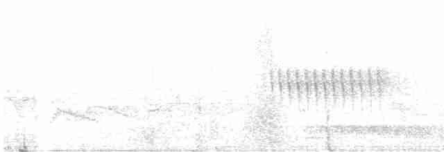 Stachelschwanzschlüpfer - ML617387810