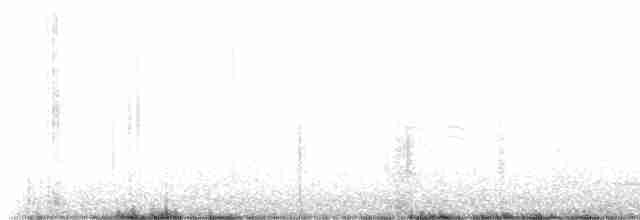 Pine Warbler - ML617388284