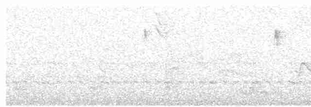 Gri Göğüslü Çıtkuşu - ML617393408