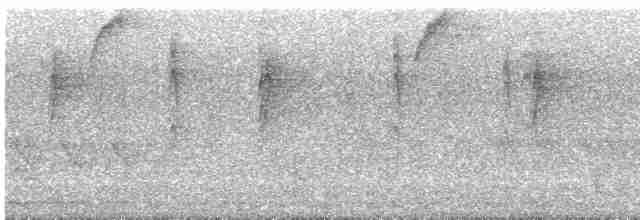 Кактусовый дятел - ML617394077