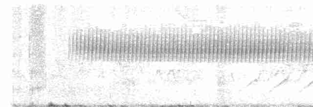 Cırcır Sesli Serçe - ML617395652
