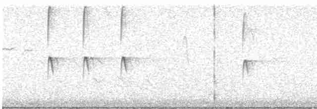 Дятел-смоктун сосновий - ML617395953