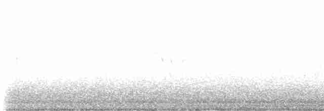 Юнко сірий (підвид hyemalis/carolinensis) - ML617396597