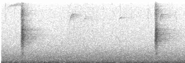 Al Kanatlı Karatavuk [phoeniceus grubu] - ML617397145