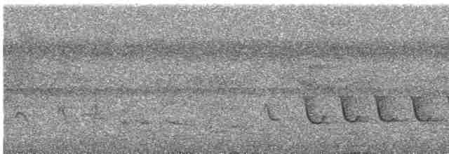 Белокрылый бекард - ML617397376
