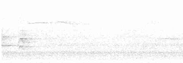 rorýs bělokrký - ML617399012