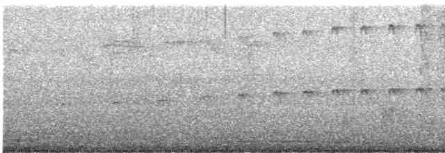 alkoun holubí - ML617399844