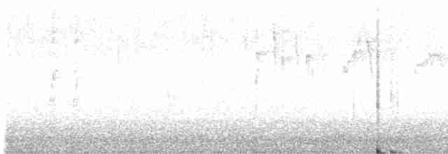 rorýs srpokřídlý - ML617400745