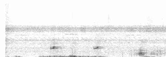 Bändernachtschwalbe - ML617403207