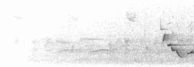 Karolina Çıtkuşu [ludovicianus grubu] - ML617404178