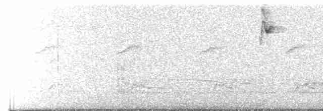 White-naped Brushfinch - ML617404595
