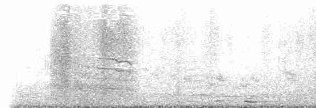 Common Gallinule - ML617408450