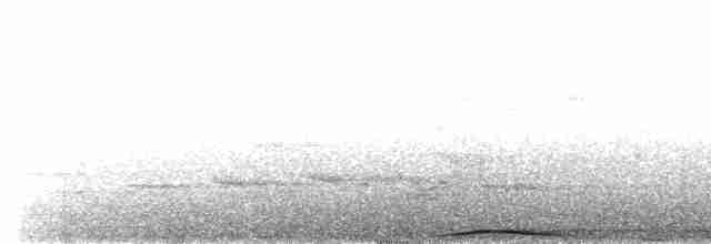 holub černobradý - ML617411616