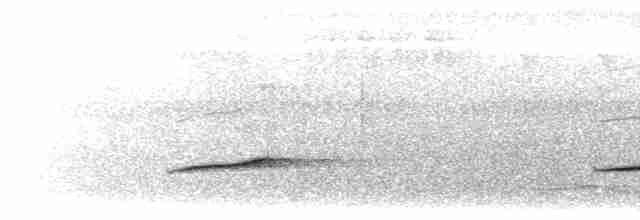 Siffleur des Philippines (groupe philippinensis) - ML617411713
