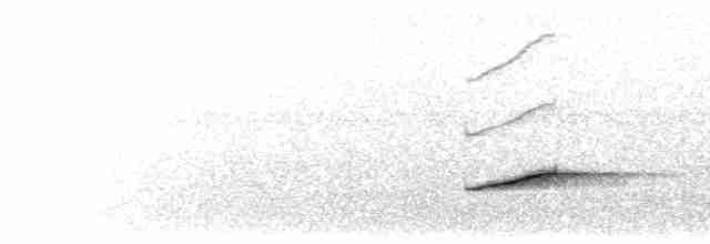 Siffleur des Philippines (groupe philippinensis) - ML617411714