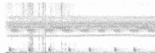 Сова-голконіг плямистоголова - ML617412714