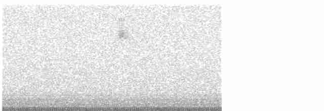 svarthetteparula - ML617413587