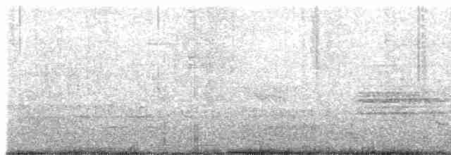 Black-tailed Crake - ML617413997