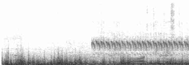 Black-tailed Crake - ML617413998