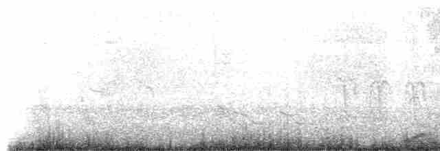 Black-tailed Crake - ML617413999