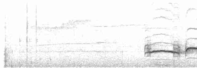 Тимелія-клинодзьоб світловола - ML617414571