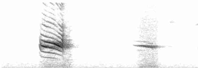 Югина темнокрила - ML617415544