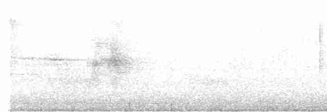 Сверкающий дронго [группа bracteatus] - ML617416555
