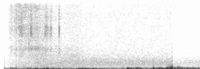 Cygne siffleur - ML617418388