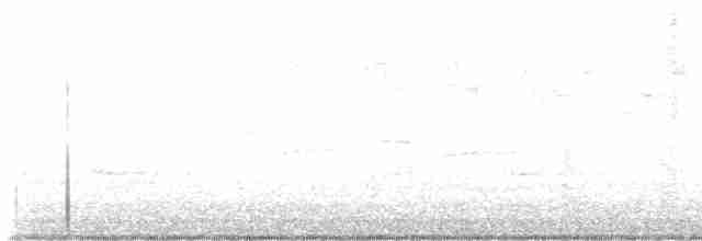 Paruline noir et blanc - ML617419008