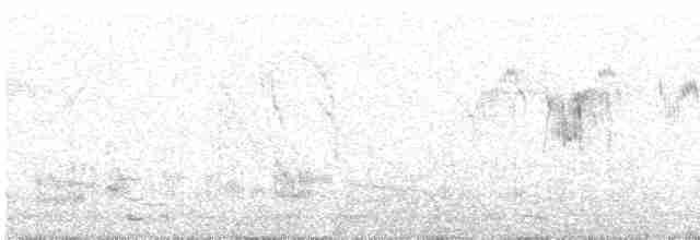 Baillon's Crake - ML617419616