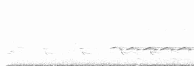 Kara Tepeli Baştankara - ML617419633