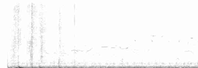 kulík hnědokřídlý - ML617419909