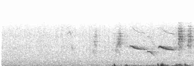 Western Orphean Warbler - ML617420504