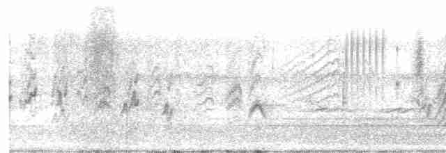 סנונית רפתות - ML617421314