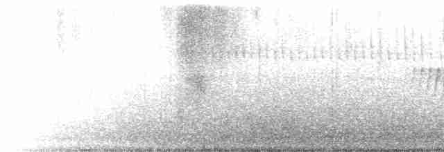Юнко сірий [група oreganus] - ML617421381