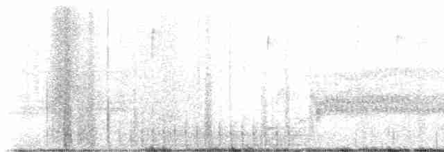 Pileated Woodpecker - ML617421451