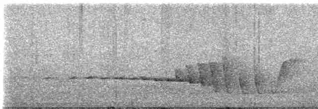 Mangrove Whistler - ML617421836