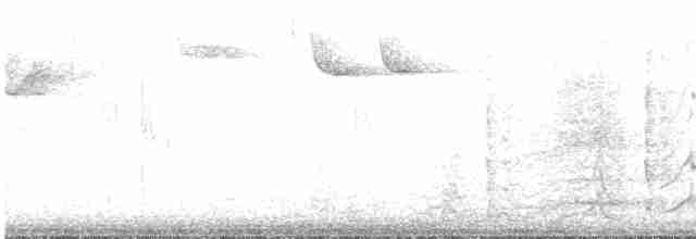 Красногрудый дятел-сокоед - ML617423495