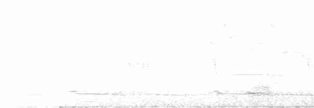 Brownish-flanked Bush Warbler - ML617423807