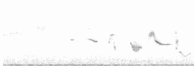 Oriole des vergers - ML617426074