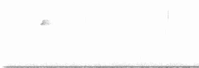 Batı Amerika Sinekkapanı (occidentalis/hellmayri) - ML617427070
