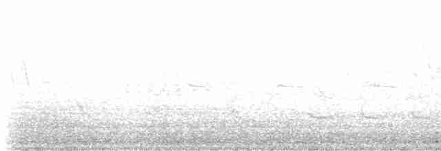 Kara Leş Kargası - ML617428137
